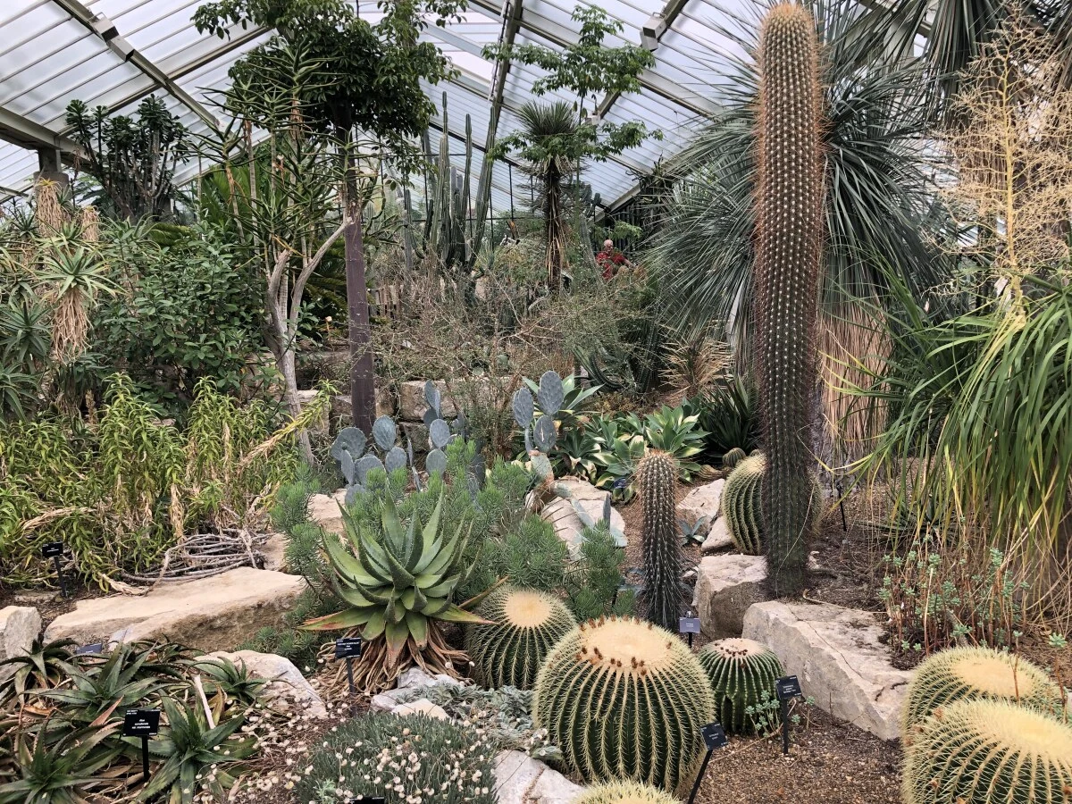 2025-London-Londen-伦敦